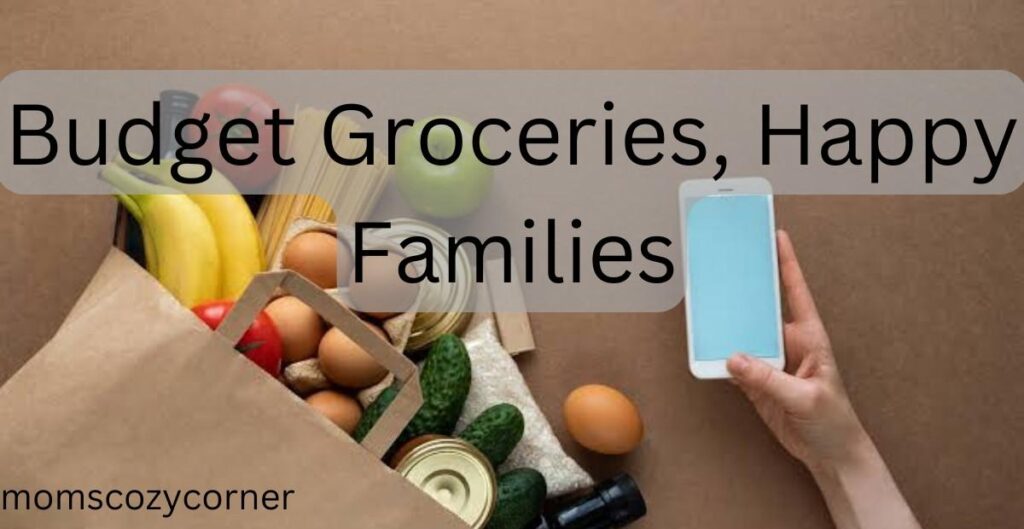 Family of 4 Grocery Budget Tips for USA SAHMs to Save Big