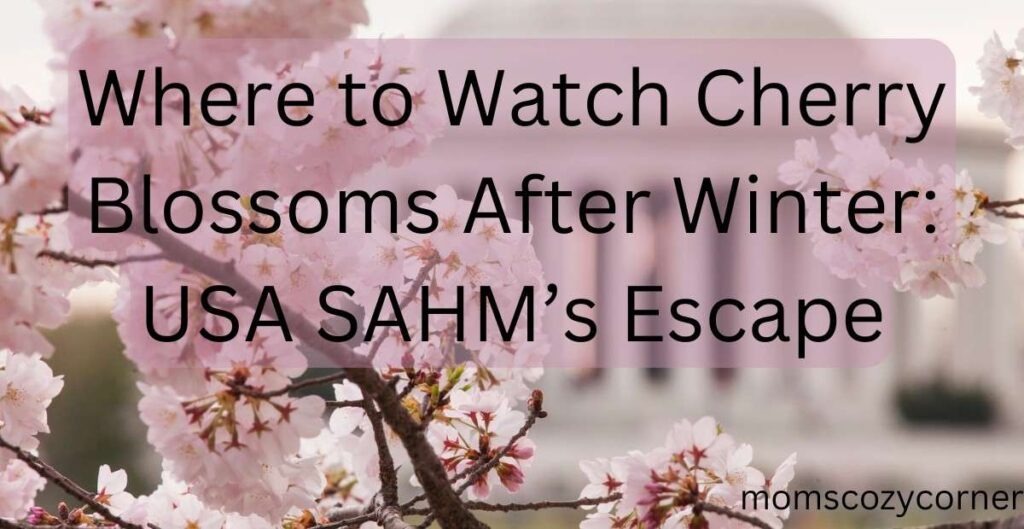 Where to Watch Cherry Blossoms After Winter: Best for USA SAHMs