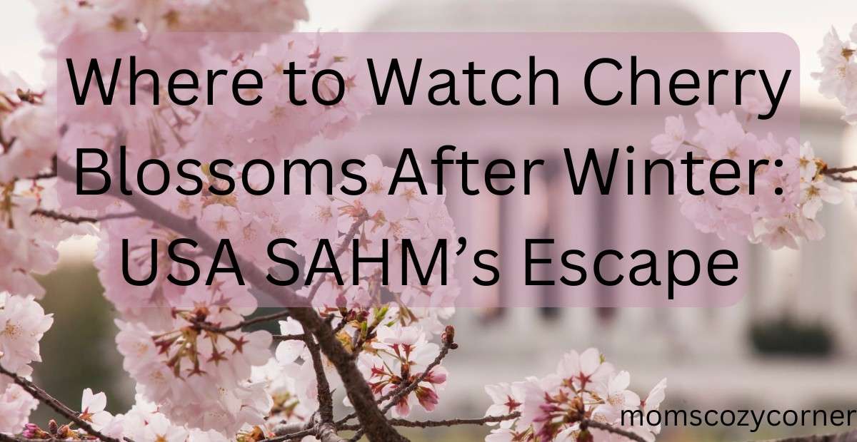 Where to Watch Cherry Blossoms After Winter: Best for USA SAHMs