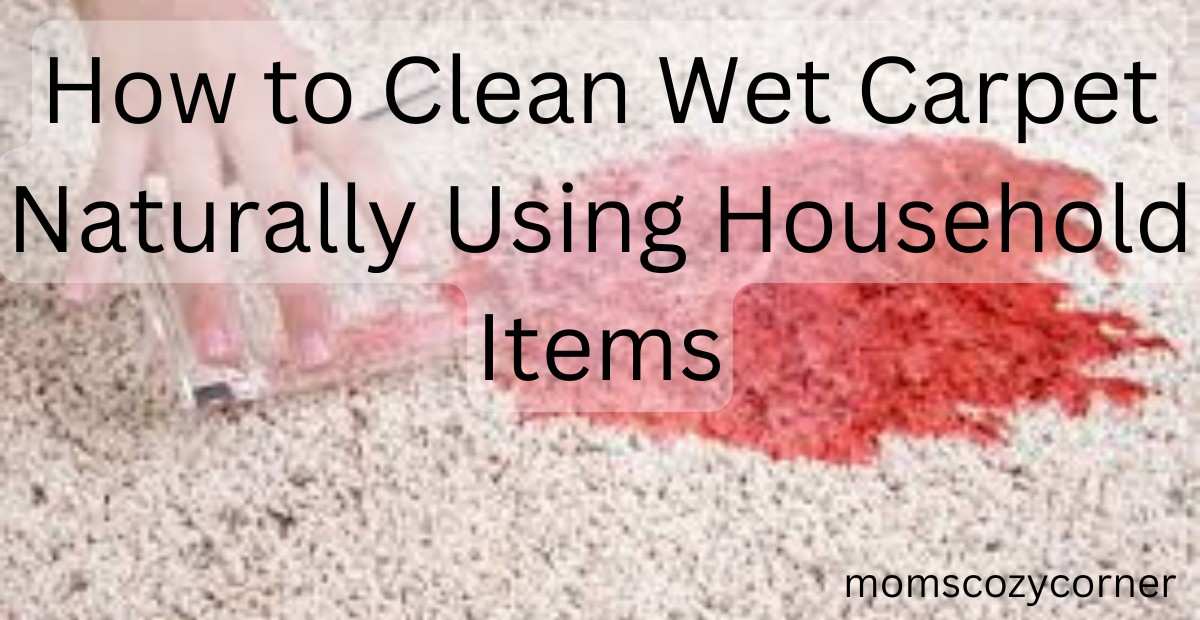 How to clean wet carpet